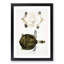Hurum Trionyx Turtle by John Edward Gray - Picture Frame Painting Print-55578739-55578741