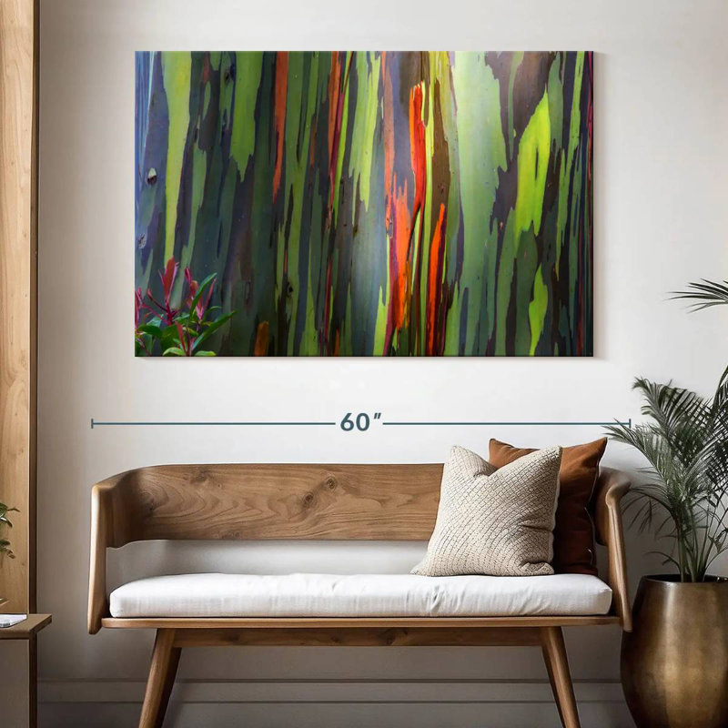 Harnek Rainbow Eucalyptus Bark, 34" H x 51" W