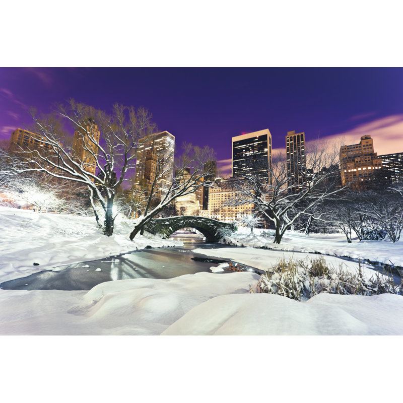Central Park At Winter - Wrapped Canvas Print, 51cm H x 76cm W x 3.8cm D