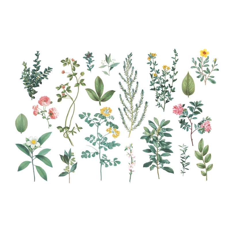 Victorian Garden Bright III by Wild Apple Portfolio - Wrapped Canvas Painting, 30cm H x 46cm W