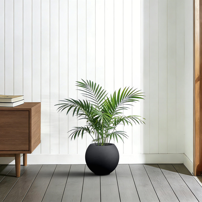 11 in. Medium Matte Black Concrete Round Planter / Pot with Upgraded Interior with Drainage Holes for Indoor & Outdoor