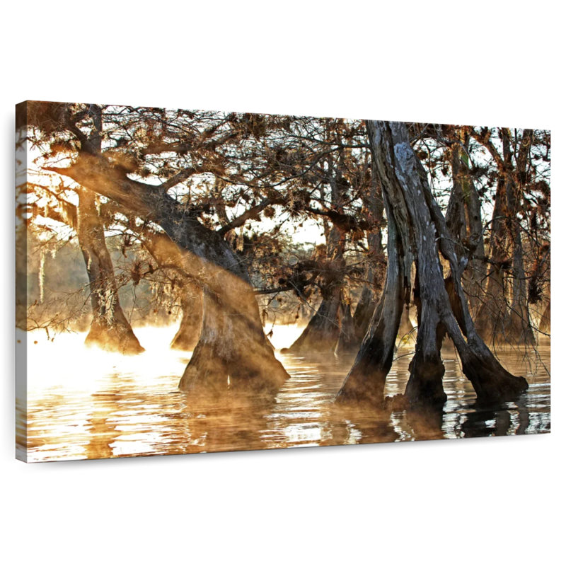 Harnek Cypress Creek II, H 26 po x l 39 po
