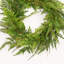 Couronne de verdure de fougère bohémienne 24 po