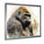 Silver Single Picture Framed