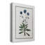 Soft Botanical II Soft Botanical II par - Peinture sur