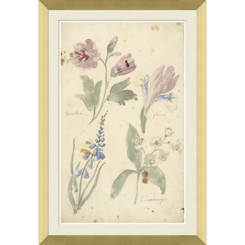 Watercolor Flower Studies Giclee Print by Soicher Marin Archives