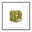 Green Golden Imprint 7 Print by Anne Mersmann-2115377800-2115377801
