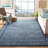 Callista Performance Southwestern Rug-497780919
