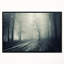 «Spooky Dark Forest with Fog», reproduction de photo sur toile tendue encadrée-63567548