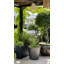 Maymie Fiberglass Planter