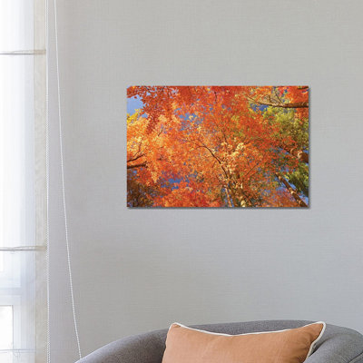 Nature's Kaleidescope by Brian Wolf - Wrapped Canvas Print