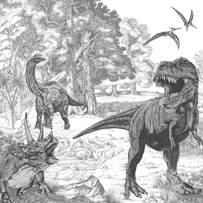 Superfresco Easy Jurassic Dino Mono Print To Order Fixed Size 2.8m x 3m Mural
