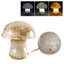 Lampe de table en jade naturelle à 3 lumières à intensité variable à DEL, luminosité réglable, fabriquée à la main pour la chambre à coucher et le salon