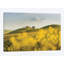 «Spring in Tuscany II» par Daniel Kordan, reproduction sur toile tendue sur châssis-31846063-73201123-73201129