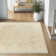 Montross Oriental Indoor Rug