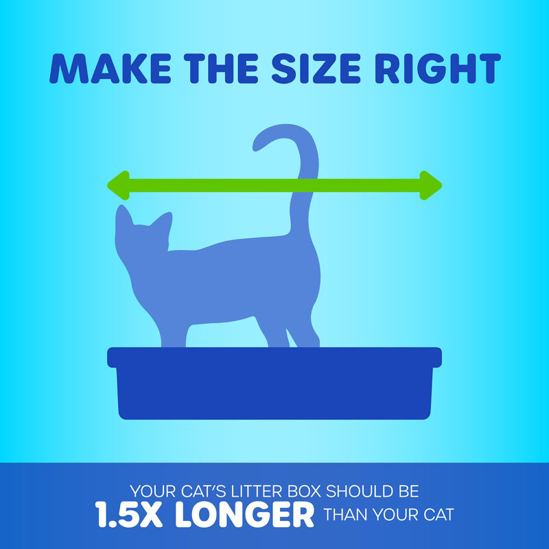 Gray and White Plastic Top Entry Cat Litter Box