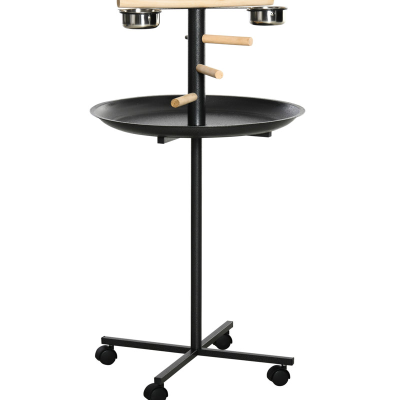 Support portatif pour perroquet, quatre roues, bols en acier inoxydable, gris, station de support pour oiseaux, portable, espace