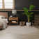 Julicia Geometric Indoor Rug