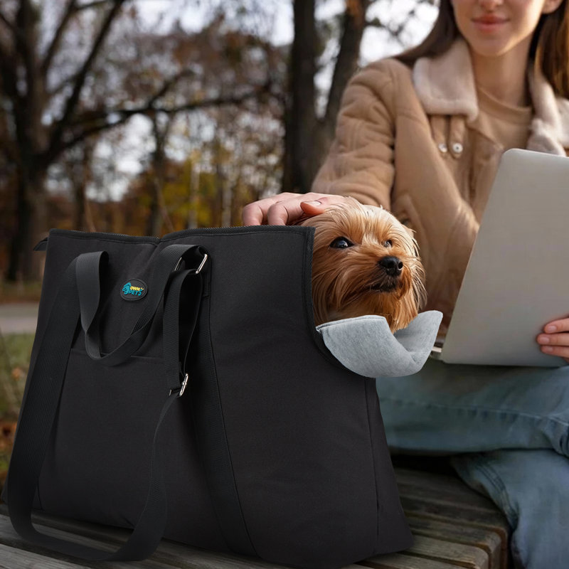 Large Capacity Pet Carrier Backpack