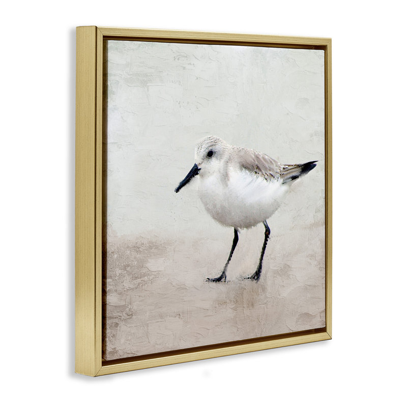 Lone Sandpiper Bird Portrait, Metallic Gold Floater Frame, 25" H x 25" W