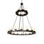 24 - Light Chandelier