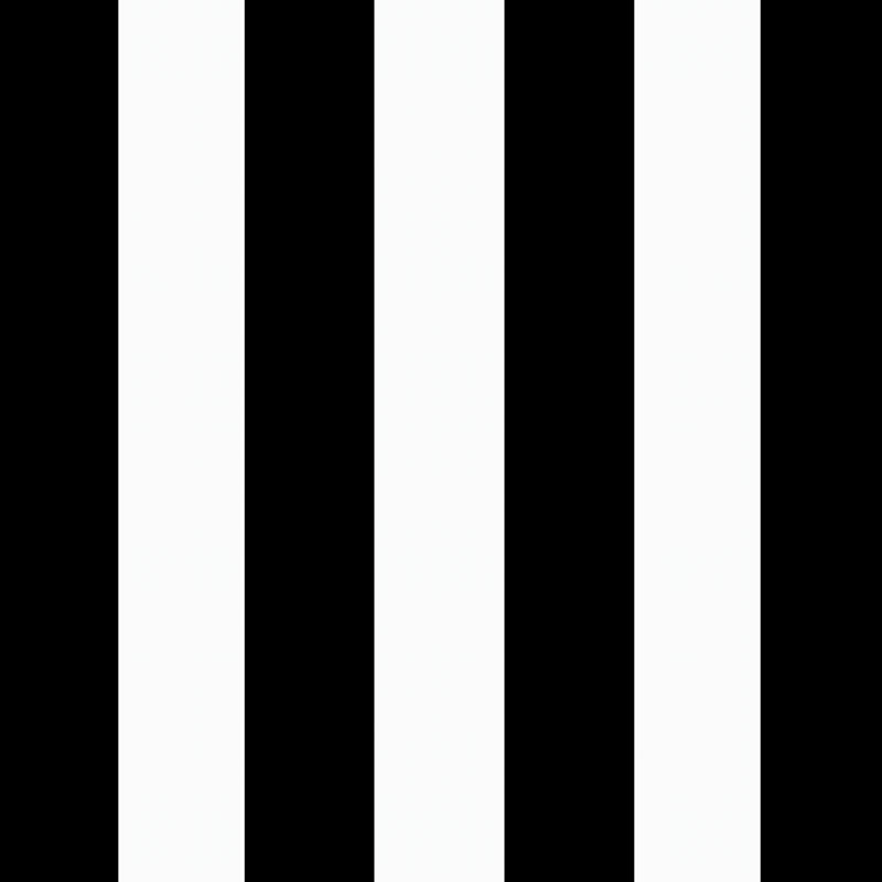 ARDEN Outdoor Chaise Lounge 2.5" Cushion, Black/White