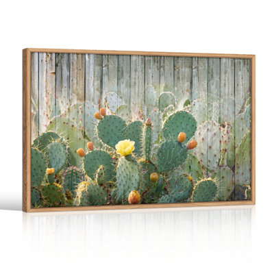 Ensemble de 1 tableau sur toile Fleur de cactus