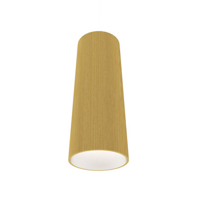 Luminaire suspendu cylindrique 1 lumière
