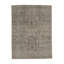 Oriental Area Rug in Brown