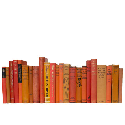 Livres décoratifs - Livres d'agrumes rétro - 1 pied de livres oranges
