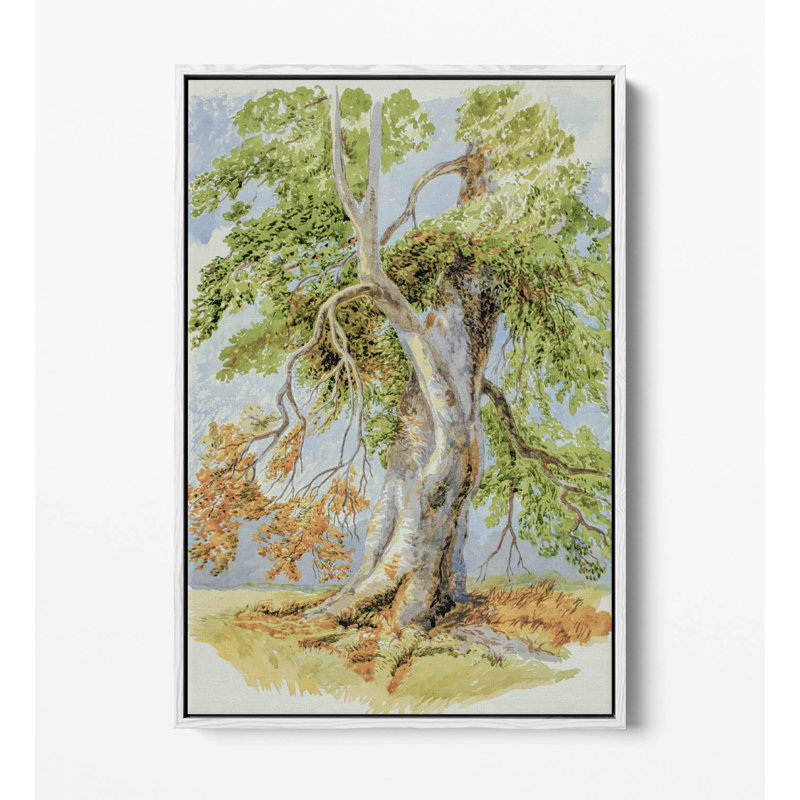 Print, 20.32cm H x 30.48cm W