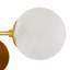 Christelle Sconce-64508637-64508636