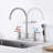 8 Inch Stainless steel 2-Handle Brushed Nickel Kitchen Faucet with Pull Out SideSprayer
