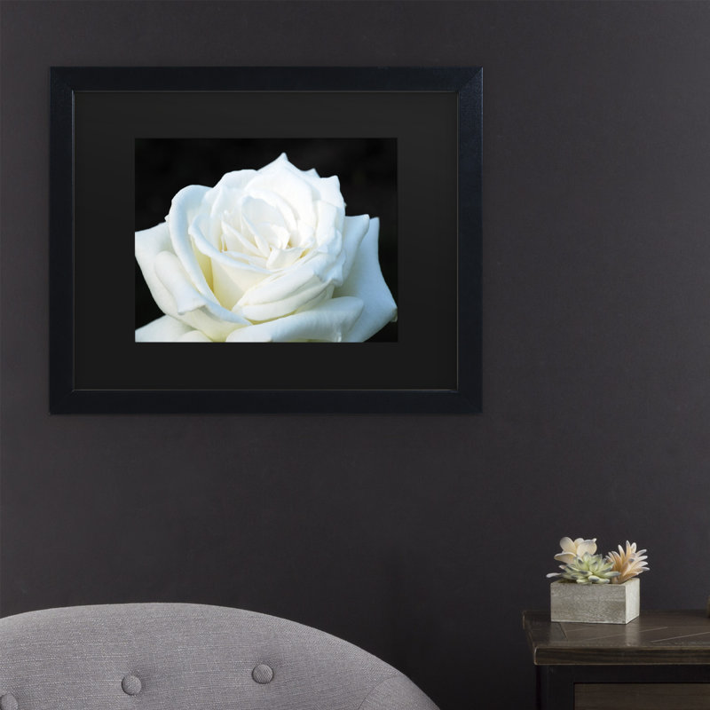 « white rose ii », reproduction d’impression sur toile encadrée, Noir, H 16 po x l 20 po x P 0,5 po