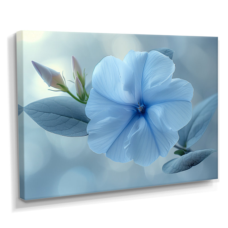 Bleu cristal, gloire du matin, fleurs, photo III - gloire du matin, décoration murale, Toile tendue, H 16 po x l 32 po