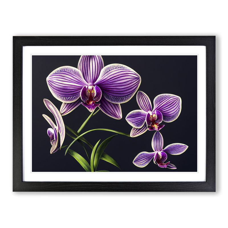 Dreamlike Orchid Flowers - Single Picture Frame Print, Black, 25cm H x 34cm W