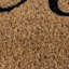 Indoor / Outdoor Doormat