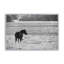 «Waiting» par Nathan Larson, reproduction d'art-131111369-131111375-131111377