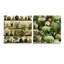 Karsyn - Ensemble de 2 plantes murales en acrylique-103936053