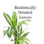 Arbre Dracaena en soie 40 po