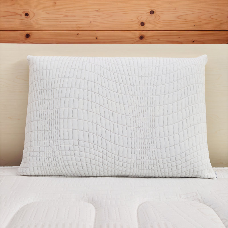 Fieldbrook Memory Foam Plush Performance Pillow