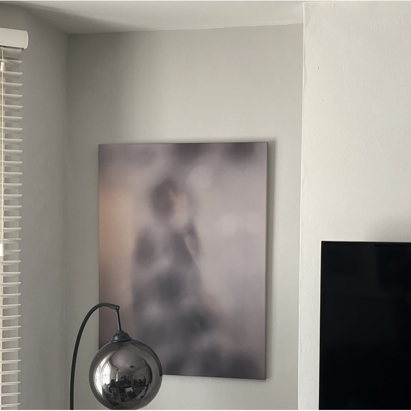 Evanesce-Concealed - Wrapped Canvas Print