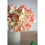 Fausse tige d'hortensia-40159547