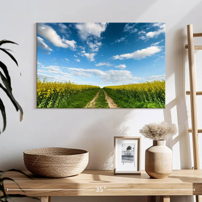 Alvord Flower Field Path