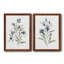 Linen Botanical III - ensemble de 2 reproductions d'art-1416053940-1344163467-1408367724