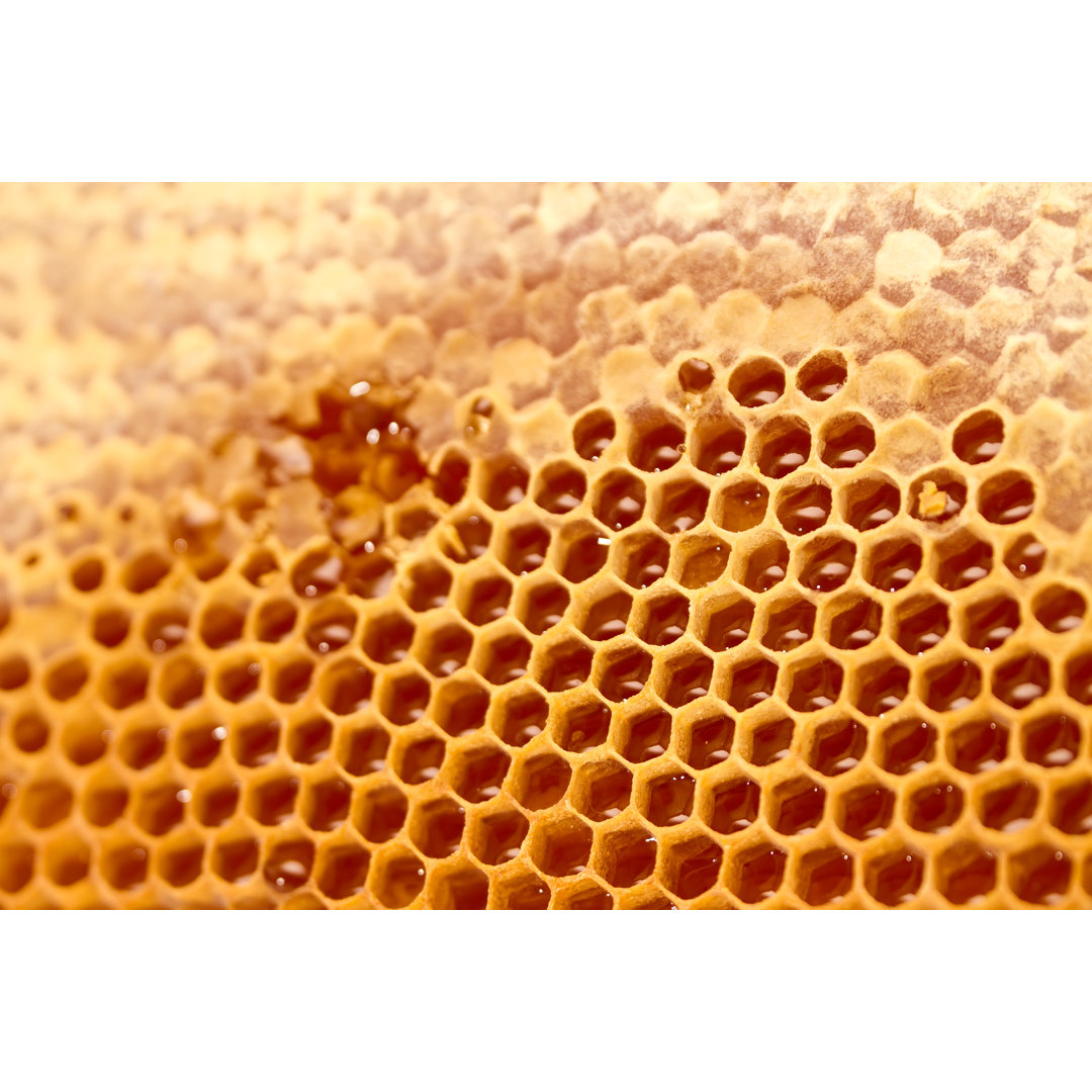 Honeycomb von Jordan_rusev - Kunstdrucke auf Leinwand