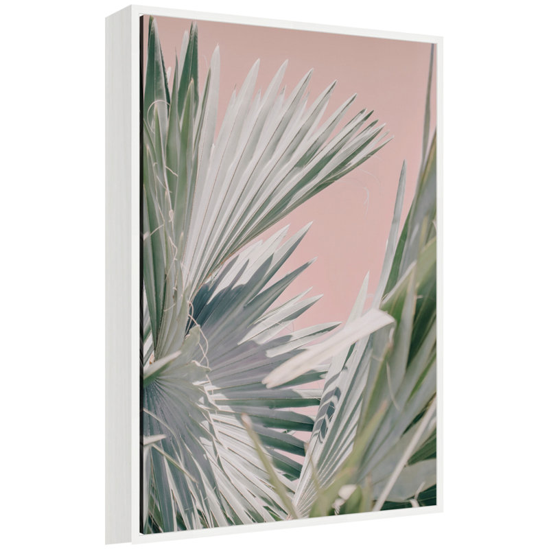 «Tropical Pink Bismarck» par Alicia Bock, reproduction d'art sur toile encadrée
