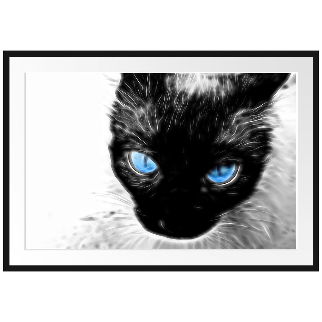 Gerahmtes Poster Blaue Augen Schwarze Katze New Art