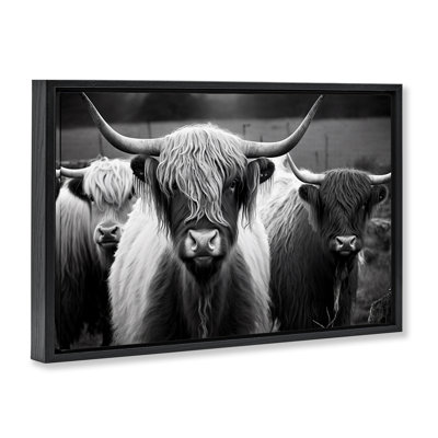  Black Highland Cows Framed Floater Canvas by Franklyn Gregory