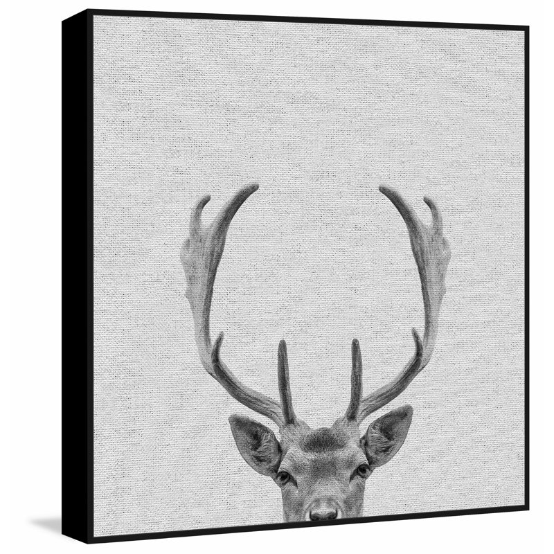 Buck Surprise II - Drawing on Canvas, 30cm H x 30cm W